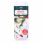 Preview: Christmas Disposable Icing Piping Bags - Christmas Fun (12pc)